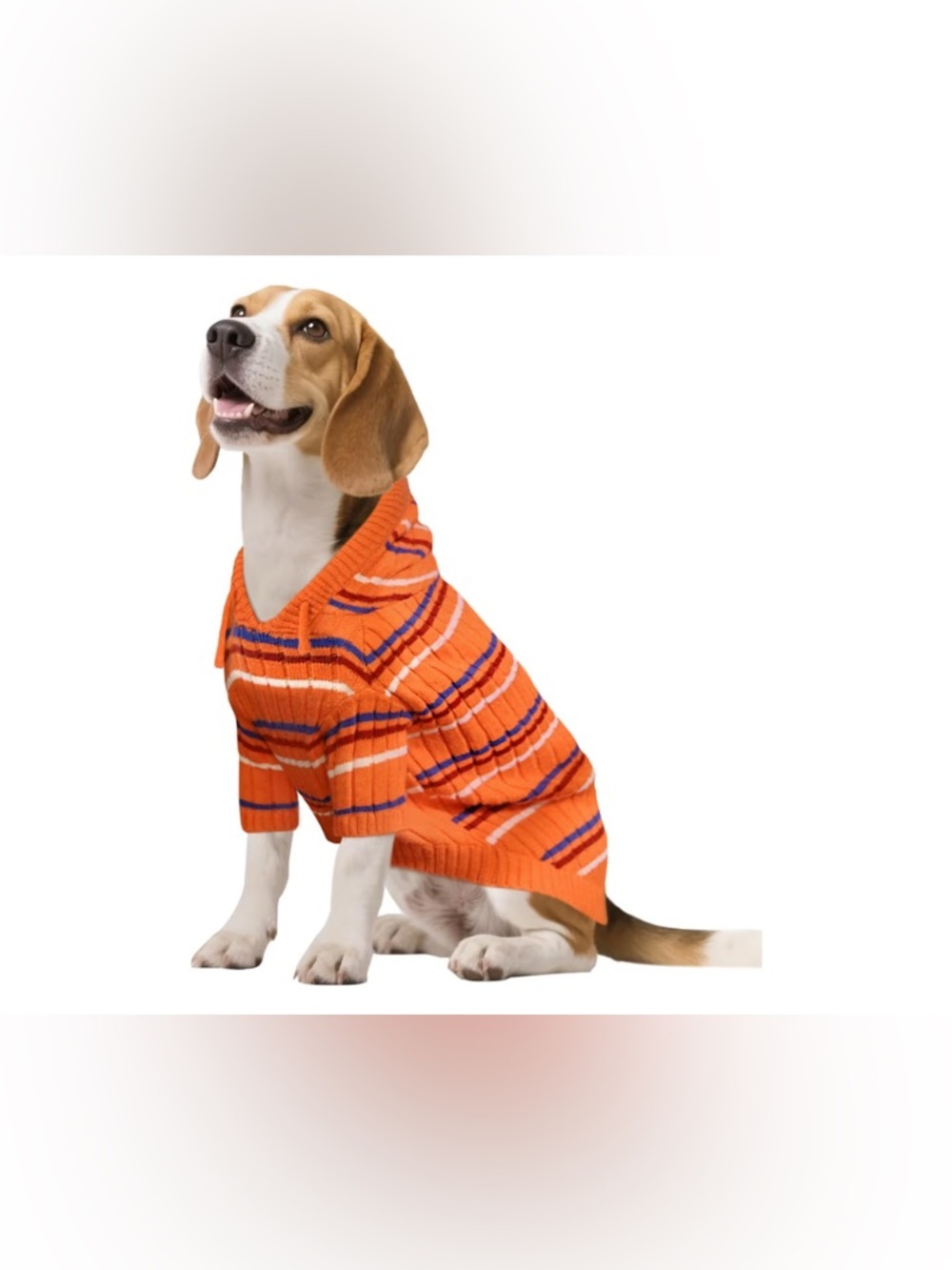 NWT-Small Fog Orange Striped
Hoodie Sweater - Cozy Knit Pet Pullover
